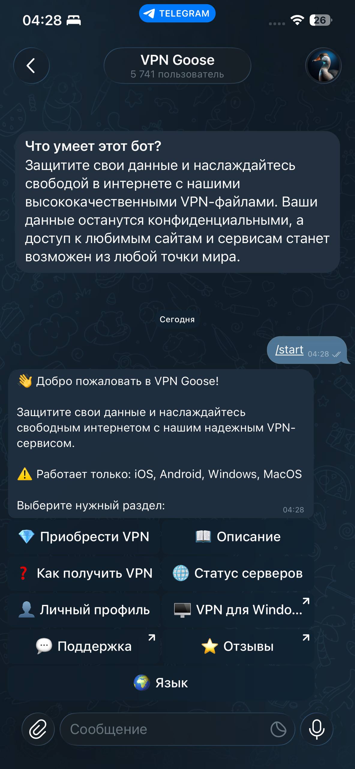 VPN Goose App Screenshot